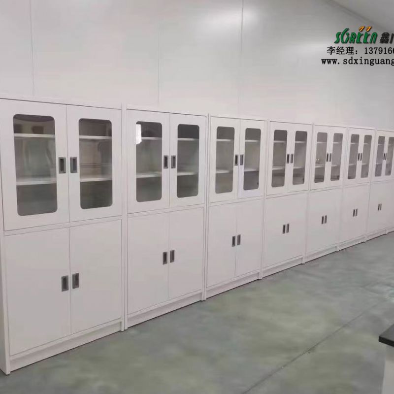 山東實驗臺廠家全鋼試劑柜實驗室器皿柜