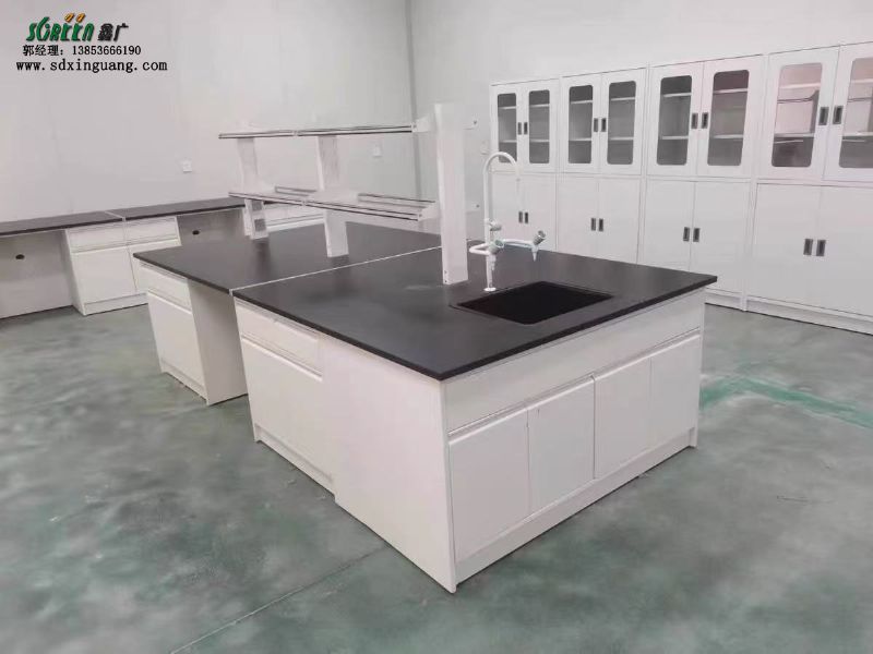 山東全鋼試驗(yàn)臺(tái)、實(shí)驗(yàn)室家具、實(shí)驗(yàn)臺(tái)廠家